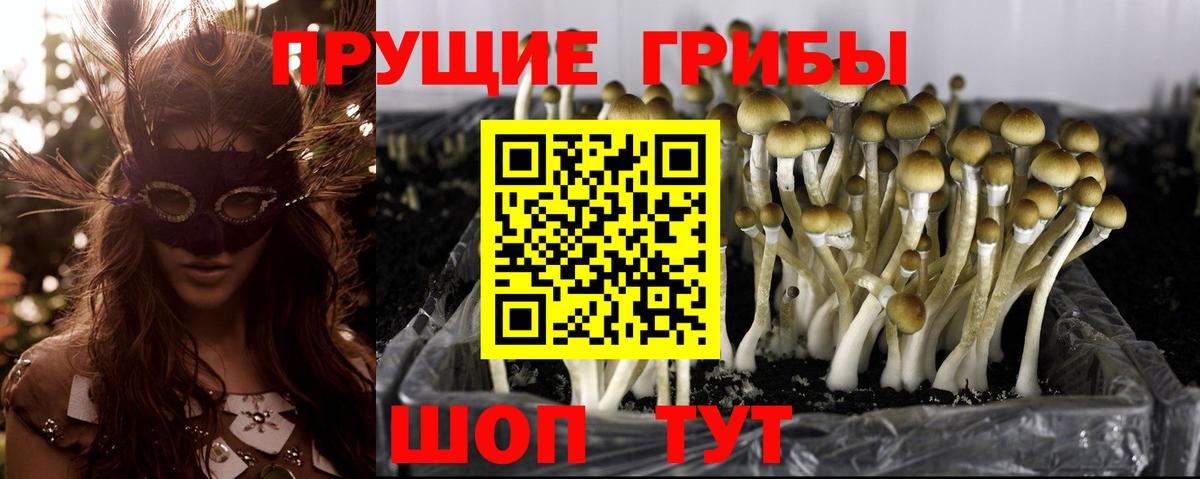 Галлюциногенные грибы GOLDEN TEACHER  Вход с VPN  Псилоцибиновые грибы MAGIC MUSHROOMS  Унеча 