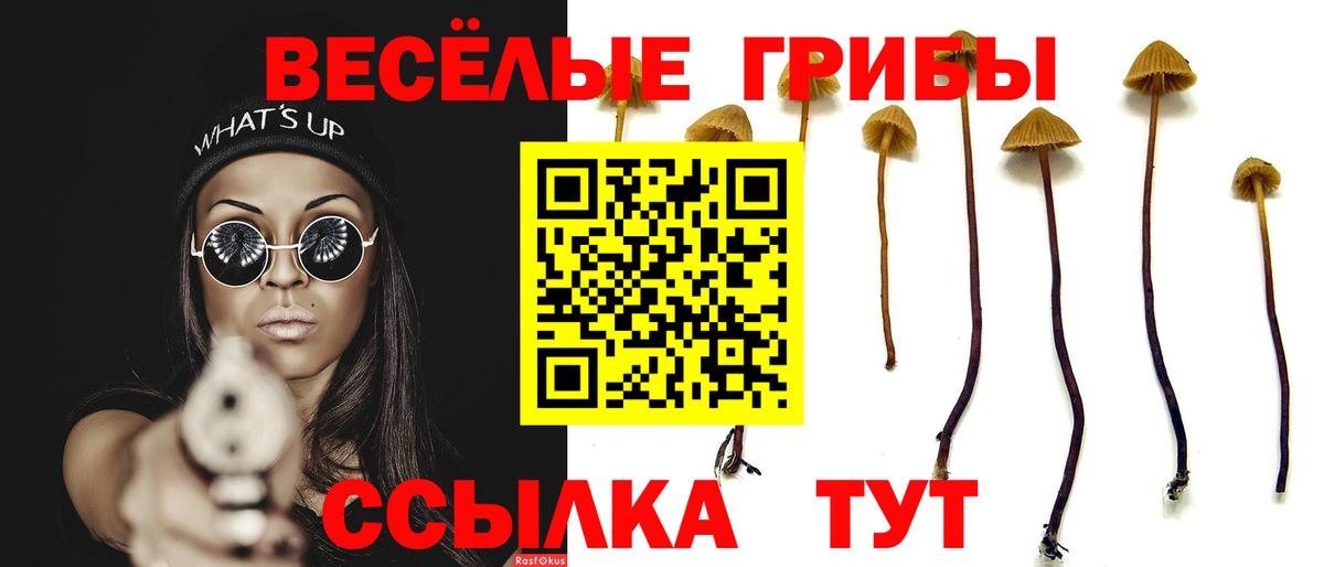 Галлюциногенные грибы прущие грибы Унеча